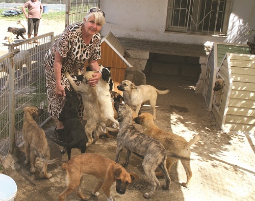 SELÇUK'TA SAHİPLİ HAYVANLAR KAYIT ALTINDA